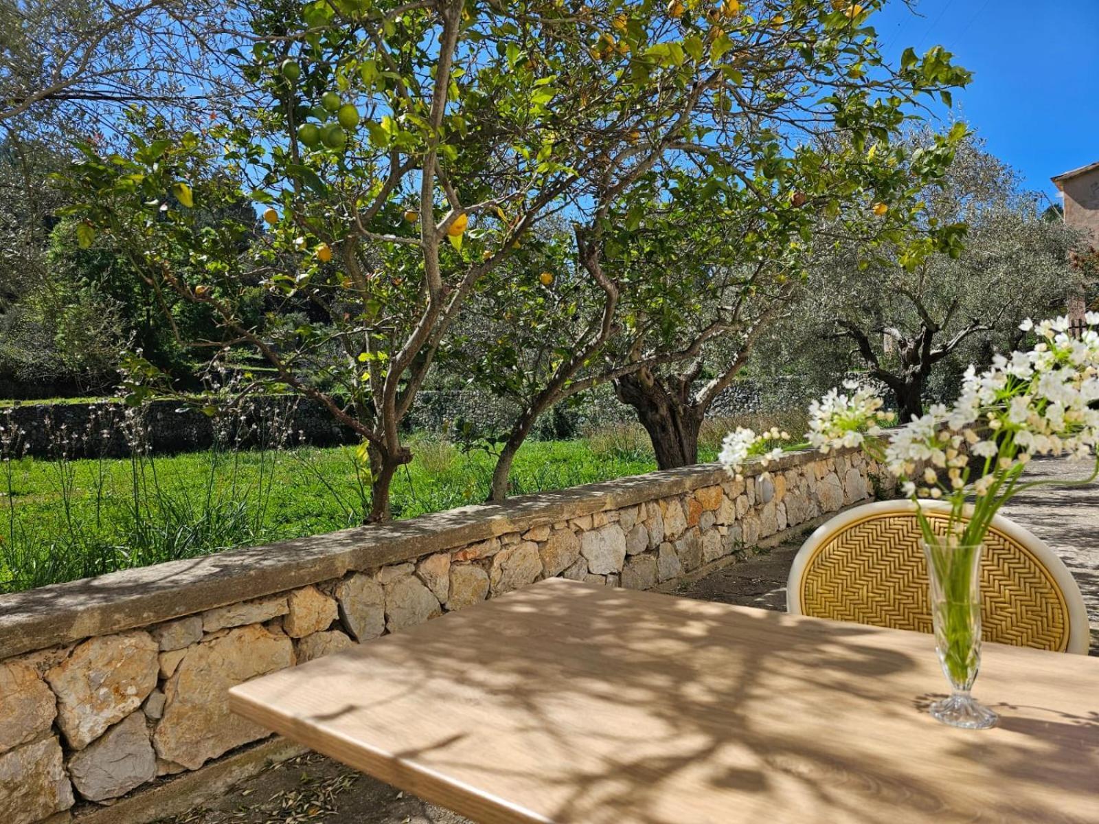 Agroturismo Finca Can Sec Alaró Eksteriør bilde